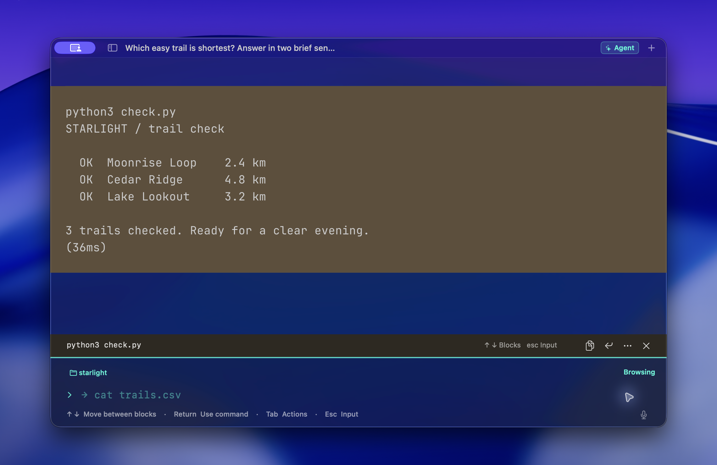 Sora’s selected trail-check command block with controls to copy output, reuse the command, and return to input.